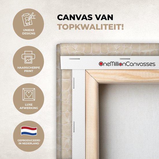 Canvas Schilderij Inductie beschermer - Leer - Structuur - Dierenhuid - 80x60 cm - Wanddecoratie