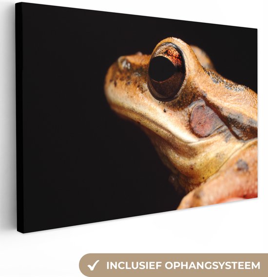 Canvas Schilderij Kikker - Oog - Zwart - 90x60 cm - Wanddecoratie