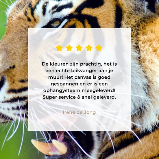 Roaring Tiger Canvas 180x120 cm - Tirage photo sur toile (Décoration murale salon / chambre) / Animaux Peintures sur toile XXL / Groot format!