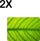 BWK Luxe Placemat - Close Up Groen Blad - Set van 2 Placemats - 35x25 cm - 2 mm dik Vinyl - Anti Slip - Afneembaar