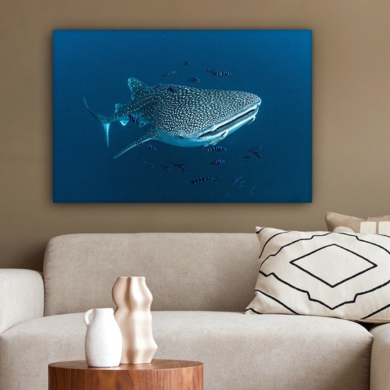 Tableau sur toile Un requin baleine à pois - 150x100 cm - Décoration murale