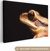 Canvas Schilderij Kikker - Oog - Zwart - 60x40 cm - Wanddecoratie