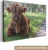 Couché écossais Highlander à côté d'un chemin toile 2cm 120x80 cm - Tirage photo sur toile peinture (Décoration murale salon / chambre) / animaux sauvages Peintures sur toile