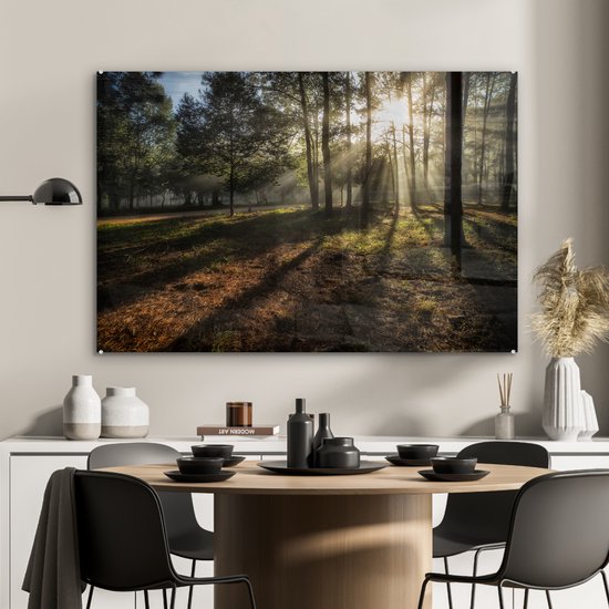 MuchoWow® Peinture sur Verre - Forêt - Soleil - Brouillard - 120x80 cm - Peintures sur Verre Acrylique - Photo sur Glas