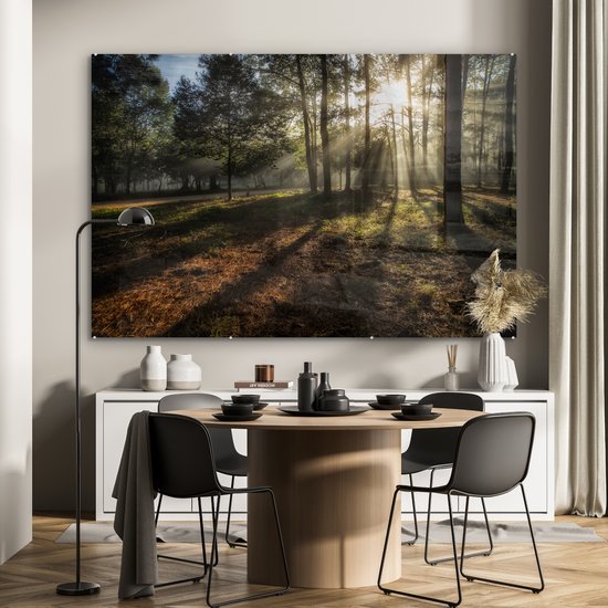 Peinture sur Verre - Forêt - Soleil - Brouillard - 180x120 cm - Peintures sur Verre Peintures - Photo sur Glas