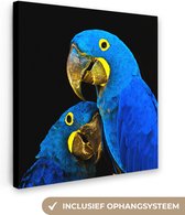 Canvas Schilderij Papegaai - Vogel - Veren - Blauw - 20x20 cm - Wanddecoratie