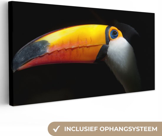 Tableau sur toile Toucan - Vogel - Bec - 80x40 cm - Décoration murale
