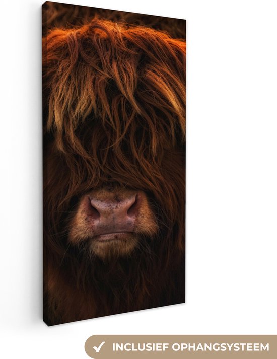 Peinture sur toile Highlander écossais - Lumière - Animal - 20x40 cm - Décoration murale