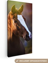 Canvas Schilderij Paard - Licht - Vacht - 20x40 cm - Wanddecoratie