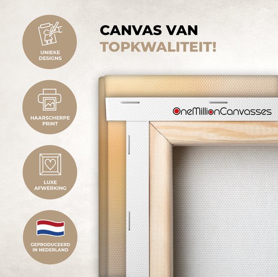 Tableau sur toile Vogels - Rouge-gorge - Arbre - 40x80 cm - Décoration murale