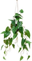 Anthurium Kunst Hangplant 95cm | Hangende Kunstplant | Kunstplant voor Binnen | Neppe Hangplant Anthurium