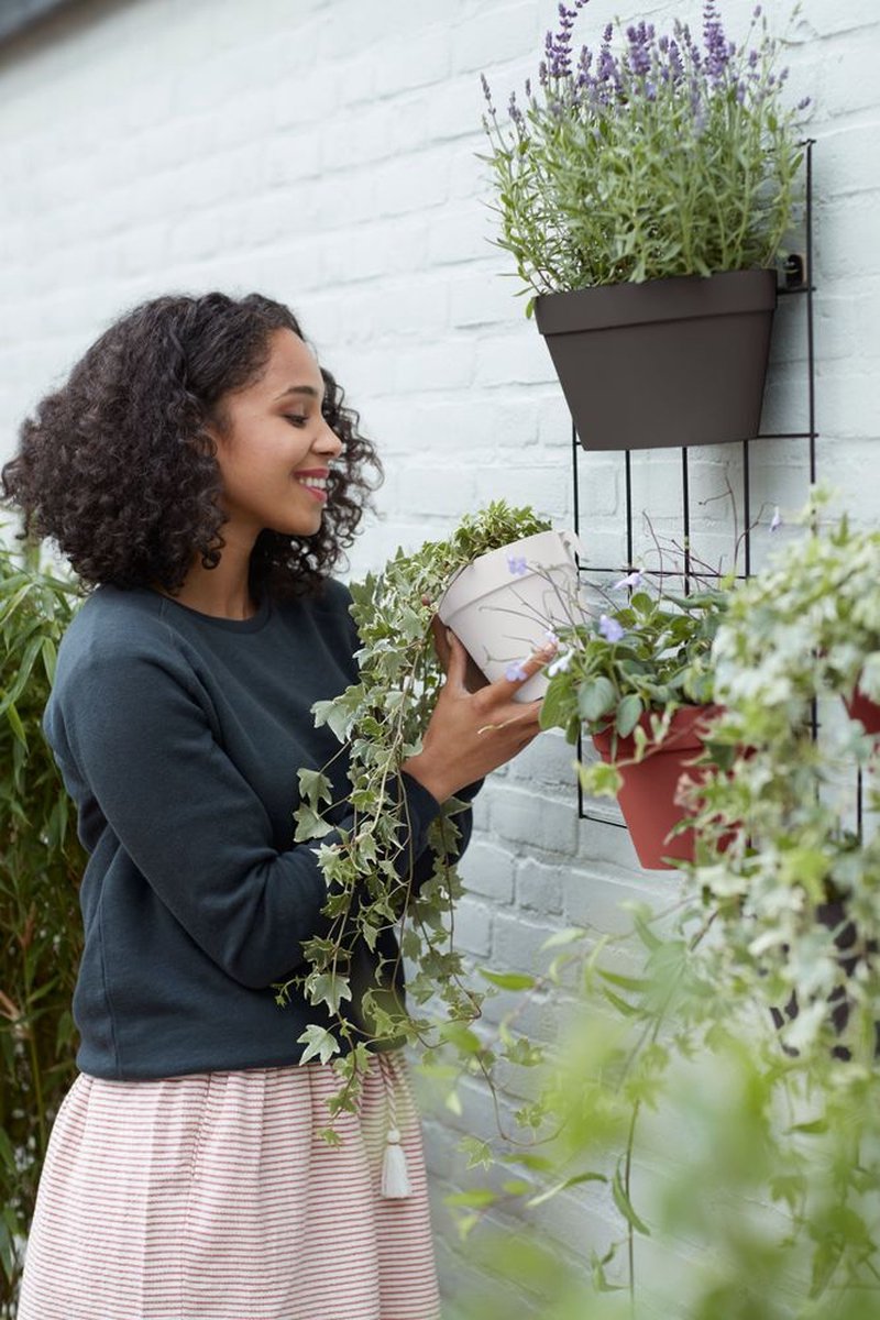 Elho Loft Urban Green Wall Pot Single 15 - Pot de fleurs pour l'extérieur