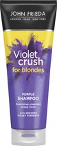 John Frieda Sheer Blonde Colour Renew Zilver Shampoo