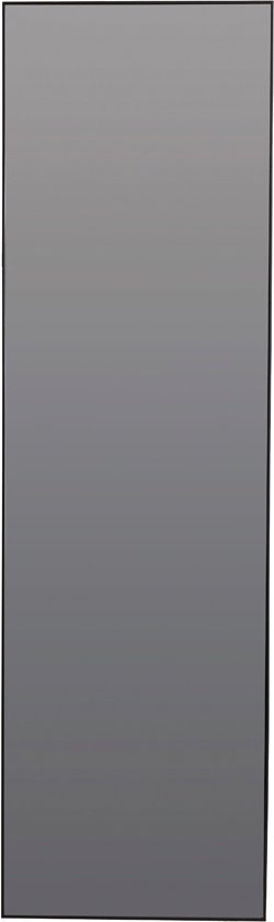 Zeneta spiegel 50x1,5x170 cm - smoke glas/zwart