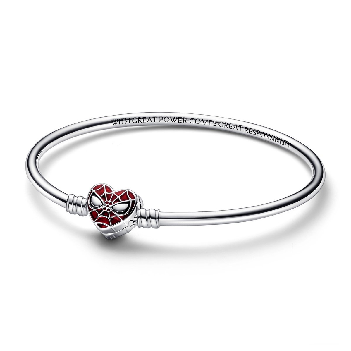 Pandora 592324C01-21 - Bangle - Zilver 925