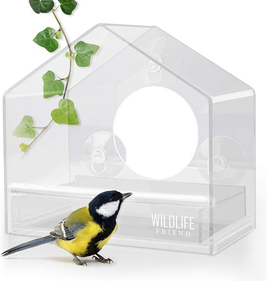 Flexi Mangeoire à fenêtre pour oiseaux sauvages, transparente, nichoir avec  ventouses