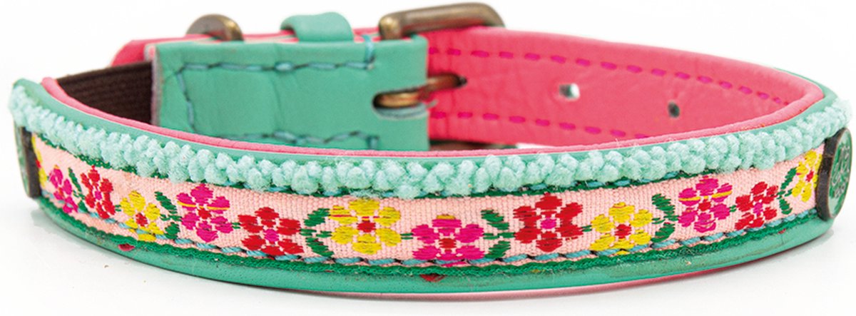 DWAM Dog with a Mission Halsband Kat – Kattenhalsband – Poezenband - Turquoise - One Size – Leer – Nekomvang tussen 20 -24 x 1,5 cm – Kitty