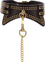 Studded Collar and Leash