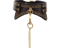 Studded Collar and Leash