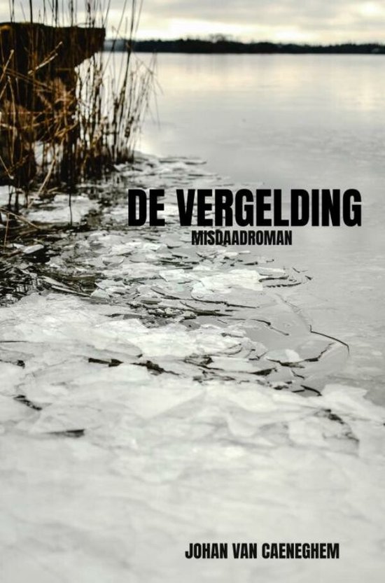 De Vergelding - cover