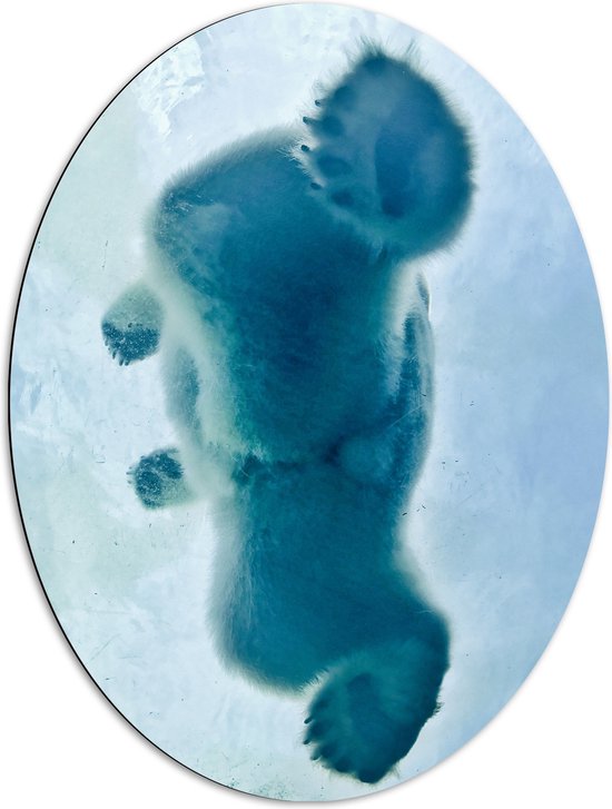 WallClassics - Dibond Ovaal - Ijsbeer van Onder het Ijs - 72x96 cm Foto op Ovaal (Met Ophangsysteem)