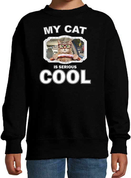 Auto rijdende katten / poezen trui / sweater my cat is serious cool zwart - kinderen - Katten liefhebber cadeau sweaters - kinderkleding / kleding 170/176