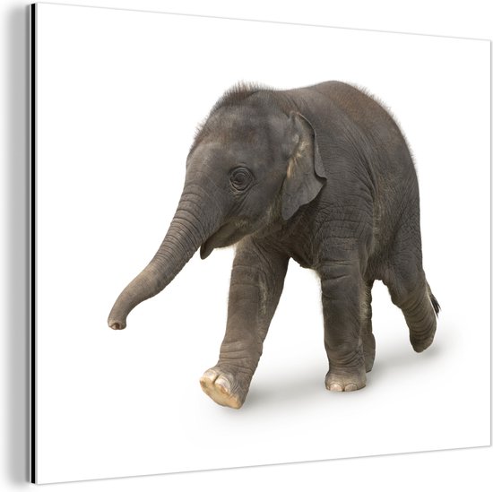 Wanddecoratie Metaal - Aluminium Schilderij Industrieel - Kleine olifant tegen witte achtergrond - 120x90 cm - Dibond - Foto op aluminium - Industriële muurdecoratie - Voor de woonkamer/slaapkamer