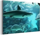Wanddecoratie Metaal - Aluminium Schilderij Industrieel - Grote haai in een aquarium - 60x40 cm - Dibond - Foto op aluminium - Industriële muurdecoratie - Voor de woonkamer/slaapkamer