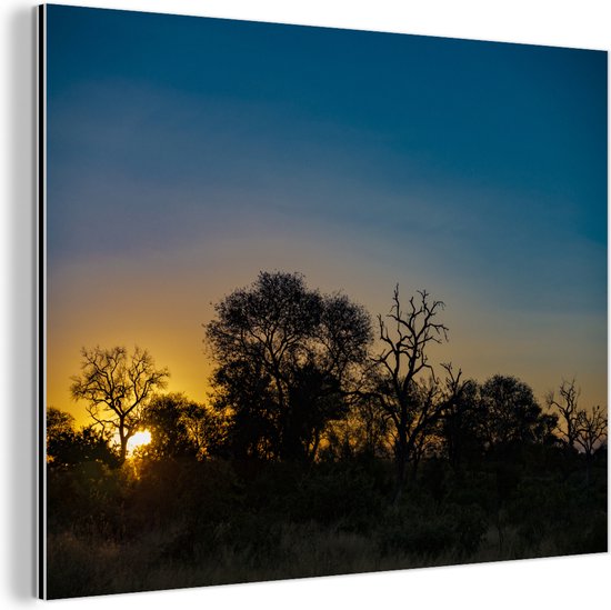 Silhouet van bomen bij zonsondergang in Krugerpark Zuid-Afrika Aluminium 40x30 cm - Foto print op Aluminium (metaal wanddecoratie)