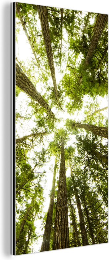 Wanddecoratie Metaal - Aluminium Schilderij Industrieel - Hoge groene bomen in jungle - 40x80 cm - Dibond - Foto op aluminium - Industriële muurdecoratie - Voor de woonkamer/slaapkamer