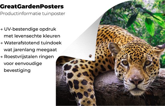 Jaguar repose de jardin affiche en vrac 120x80 cm - Toile de jardin / Toile d'extérieur / Peintures pour l'extérieur (décoration de jardin)