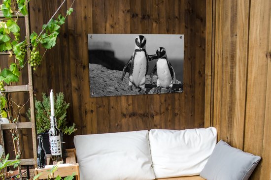 Posters de jardin extérieur Deux pingouins s'enlaçant sur un rocher - noir et blanc - 90x60 cm - Toile jardin - Affiche extérieur