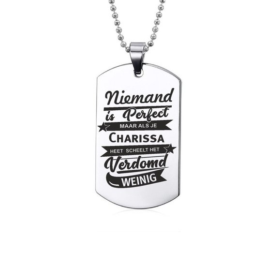 Niemand Is Perfect - Charissa - RVS Ketting