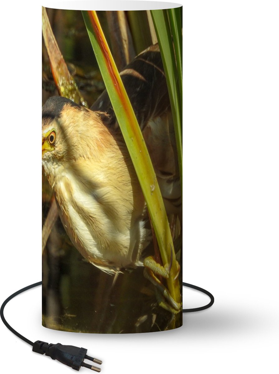 Lamp - Nachtlampje - Tafellamp slaapkamer - Een Woudaap zoekt voedsel in het water tussen het riet - 70 cm hoog - Ø29.6 cm - Inclusief LED lamp - LampTiger