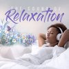 V/A - Sound Of Relaxation (CD)