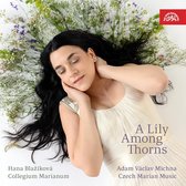 Hana Blazikova, Collegium Marianum, Jana Semerädová - A Lily Among Thorns (CD)