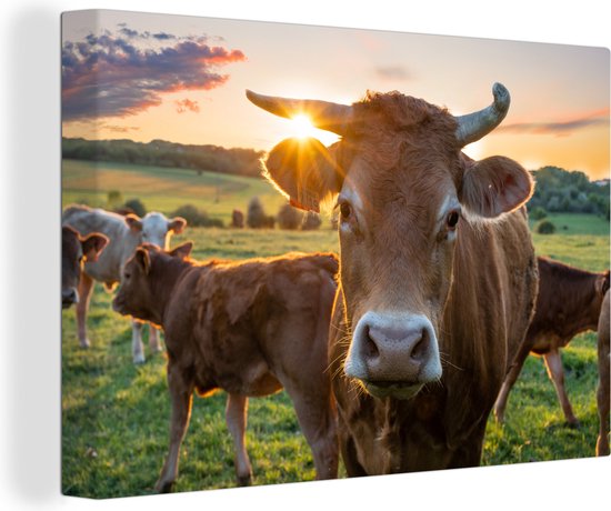 Canvas - Koeien - Zonsondergang - Natuur - Dieren - Canvas schilderij - Muurdecoratie - 180x120 cm