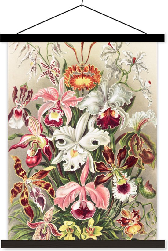 Posterhanger inclusief Poster - Vintage - Ernst Haeckel - Bloemen - Botanisch - Boho - Bohemian decoratie - Ibiza style - Zwarte latten - 120x160