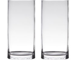 Set van 2x stuks transparante home-basics Cylinder vorm vaas/vazen van glas 30 x 12 cm - Bloemen/takken/boeketten vaas voor binnen gebruik
