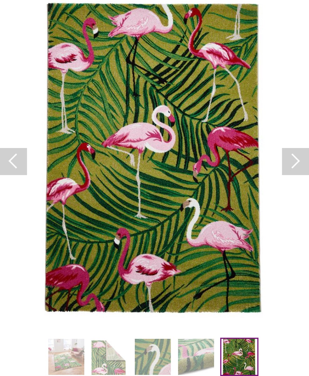 Think Rugs - Vloerkleed 'Havana' - Natuurprint - Groen/Roze - 120x170 cm