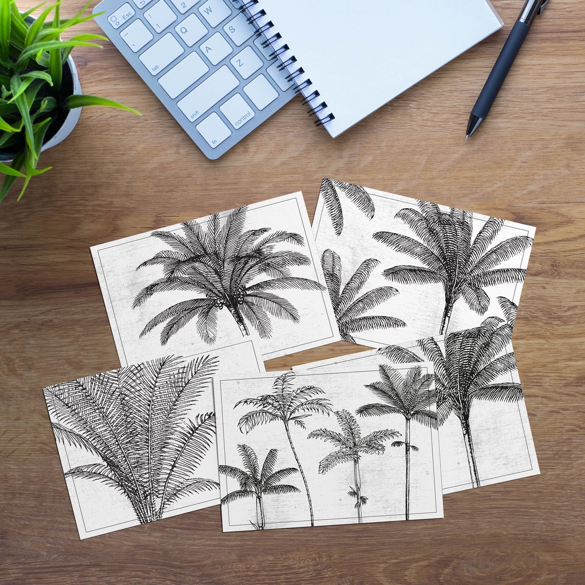 Fabrikten Ansichtkaarten - Set - Palm - 8 st - A6