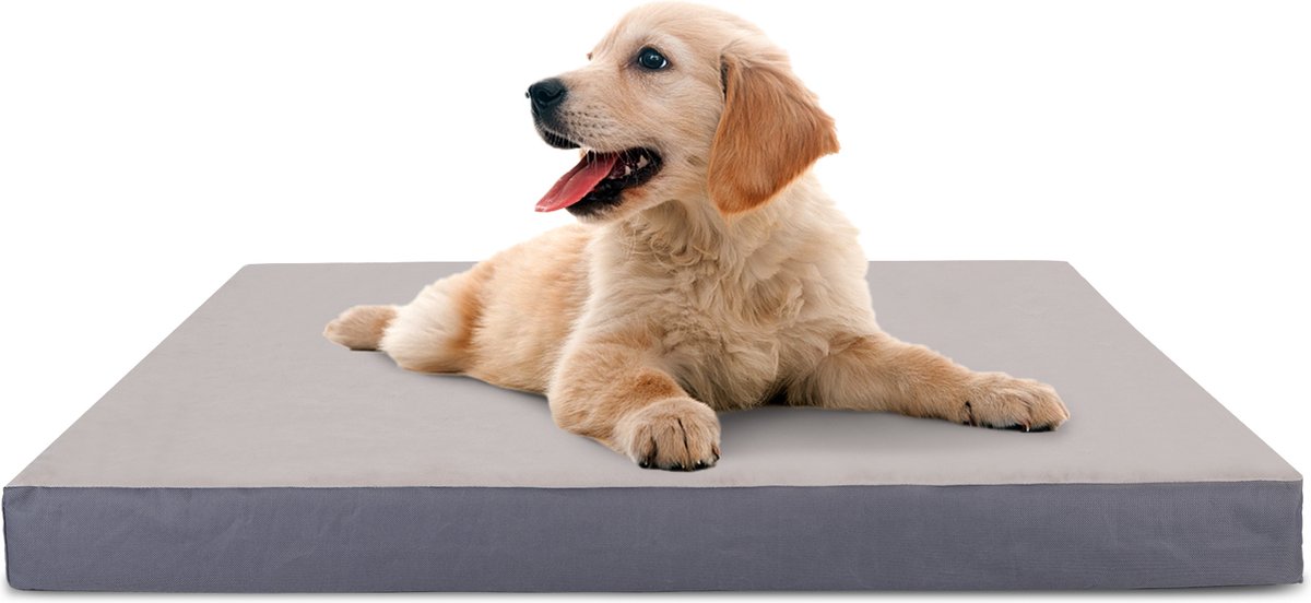 Nobleza Orthopedisch hondenkussen Wasbaar Maat S 60 x 40 cm