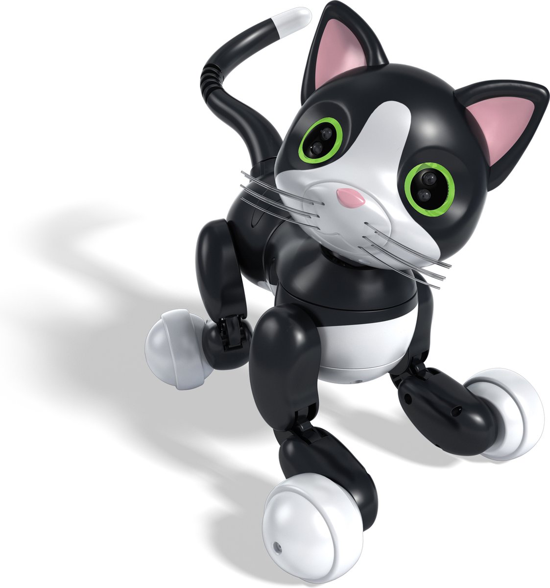 Zoomer Kitty Kat bol