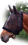 Bruine paard met een zwart vliegenmasker en leren bandjes, met zachte witte achtergrond.