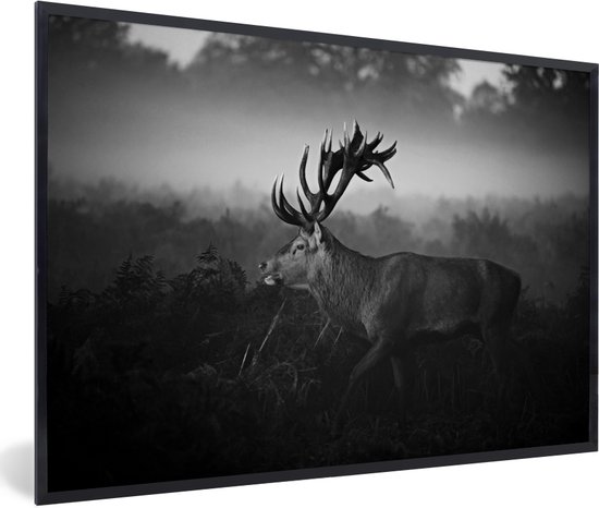 Cadre photo avec affiche Wit Zwart - Cerf marchant dans les buissons - noir et blanc - 90x60 cm - Cadre pour affiche