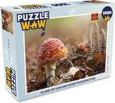 Puzzel Close-up van een rode paddenstoel - Legpuzzel - Puzzel 1000 stukjes volwassenen