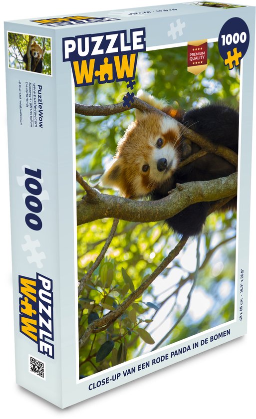 Puzzel Panda - Rood - Close up - Legpuzzel - Puzzel 1000 stukjes  volwassenen | bol.