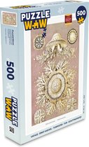 Puzzel Vintage - Ernst Haeckel - Kwal - Kunst - Legpuzzel - Puzzel 500 stukjes