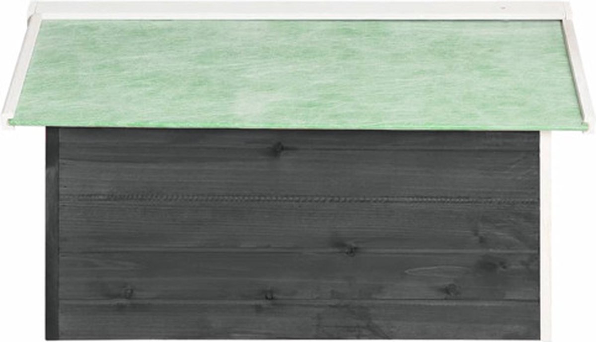 VidaXL - Hondenloopplank - 70x35 - cm - massief - vurenhout - grijs