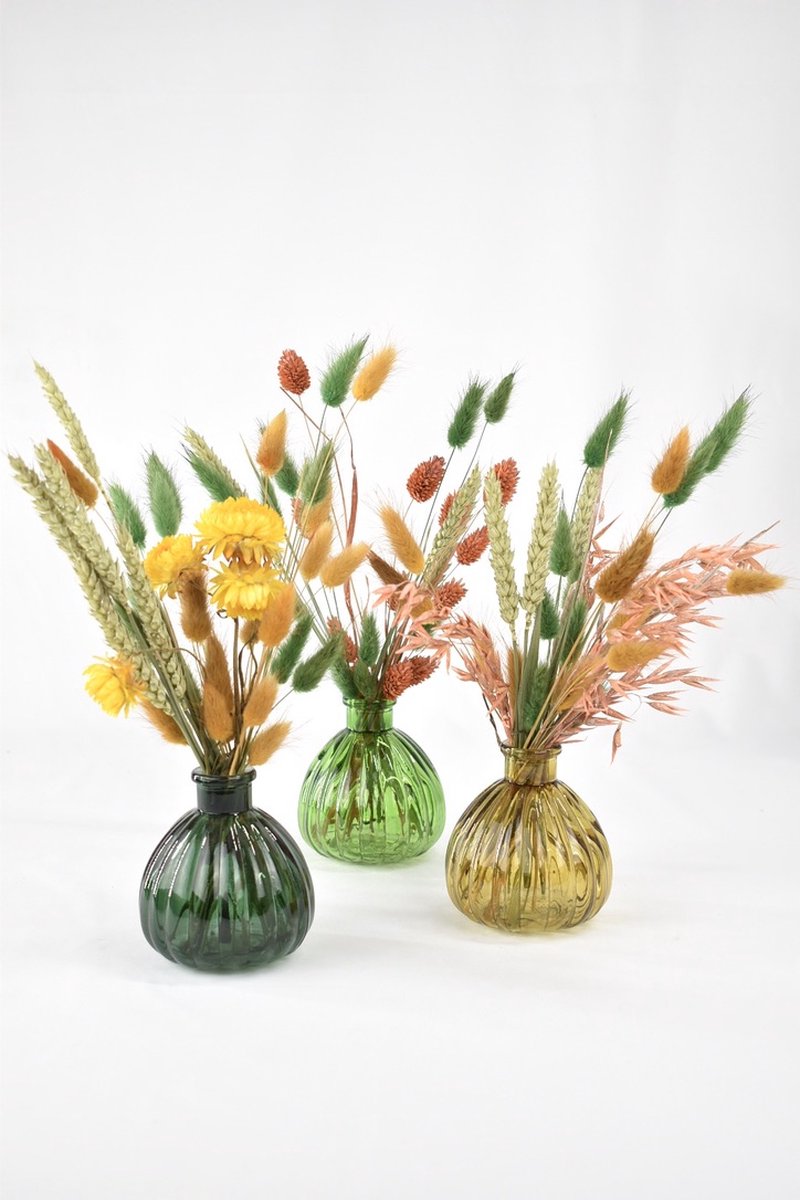 Natuurlijk Bloemen Droogbloemen met vaas - Set van 3 stuks! - Bloemen cadeau met vaas - Natuurlijk Bloemen groen